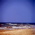 litoral_mangalia.jpg